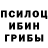 Псилоцибиновые грибы Magic Shrooms LegendOfGER,Rip SN8