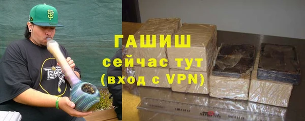 молекула духа Арсеньев