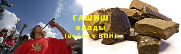 молекула духа Арсеньев
