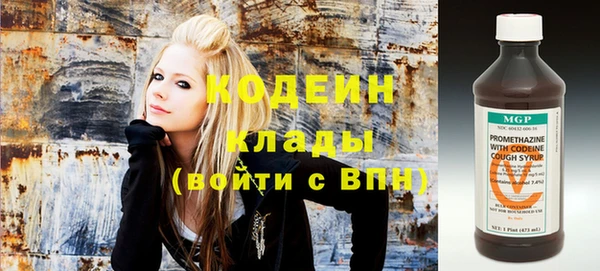 молекула духа Арсеньев