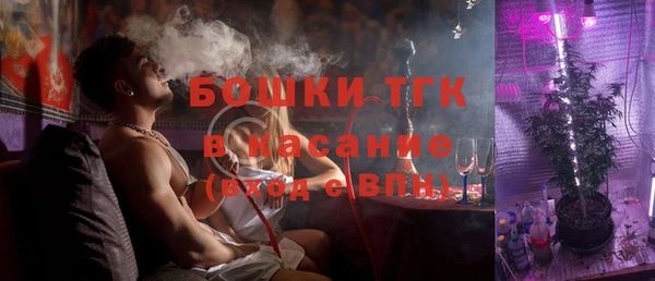 молекула духа Арсеньев