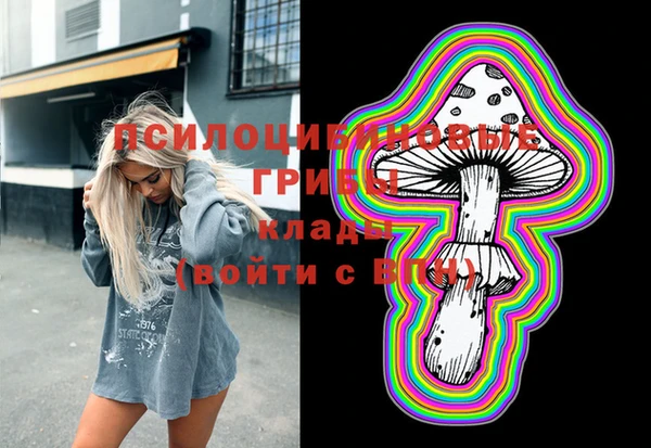 шишки Армянск