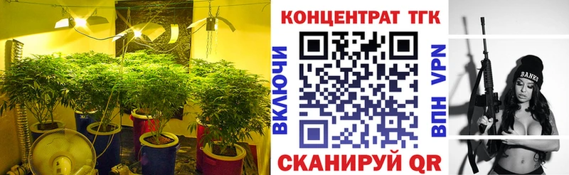 ТГК концентрат  Купить закладки  Чехов 