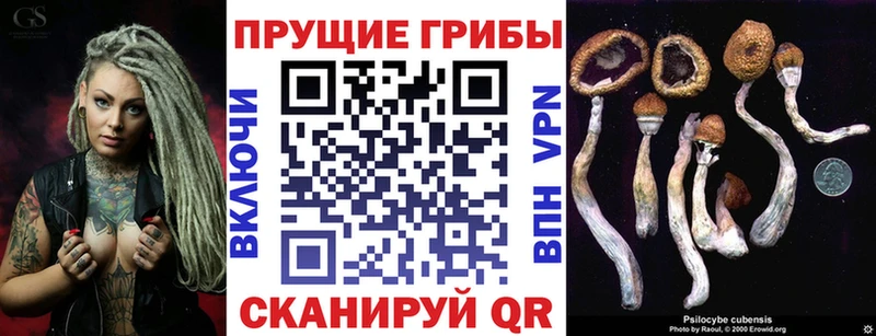 Галлюциногенные грибы MAGIC MUSHROOMS  Купить закладки  Чехов 